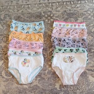 Bluey And Minnie 2t-3t Cotton Underwear Bundle